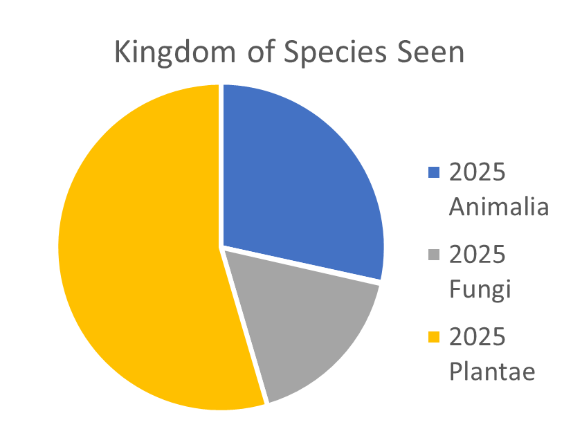 iNaturalist kingdom of species seen