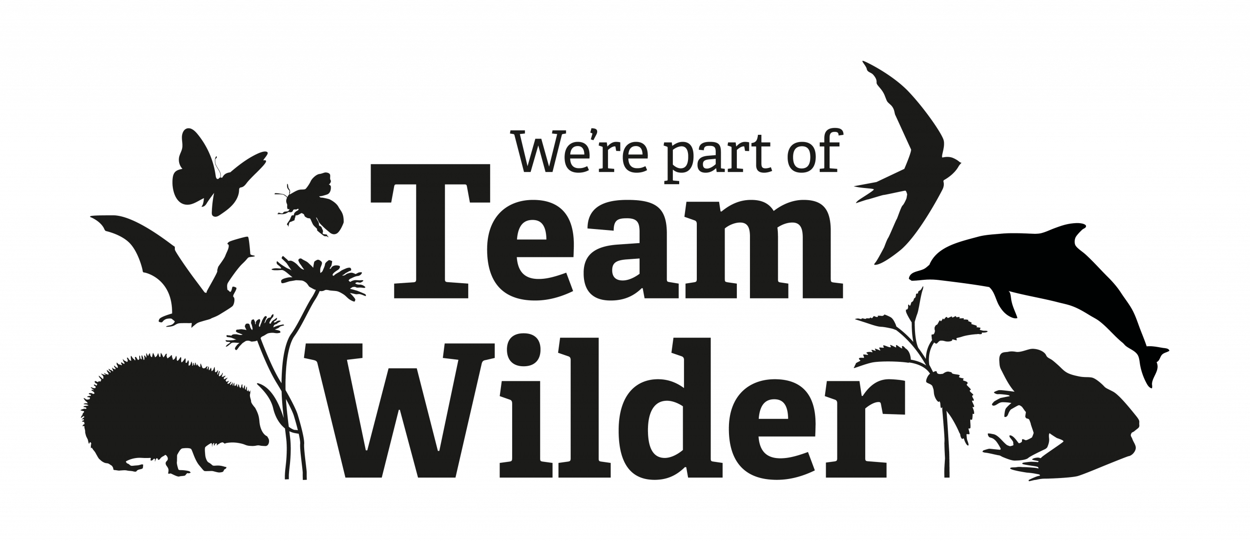 YWT Team Wilder