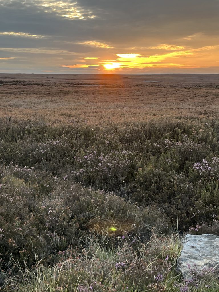 North Yorkshire Moors