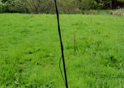 Goathland Nature Group - Bat detector