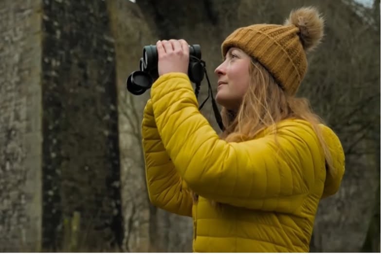 Chirk Swifts and House Martins Talk