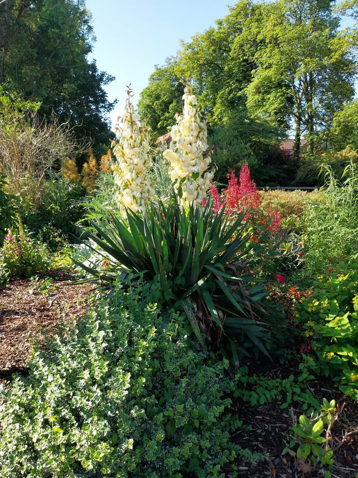 Goathland Open Gardens
