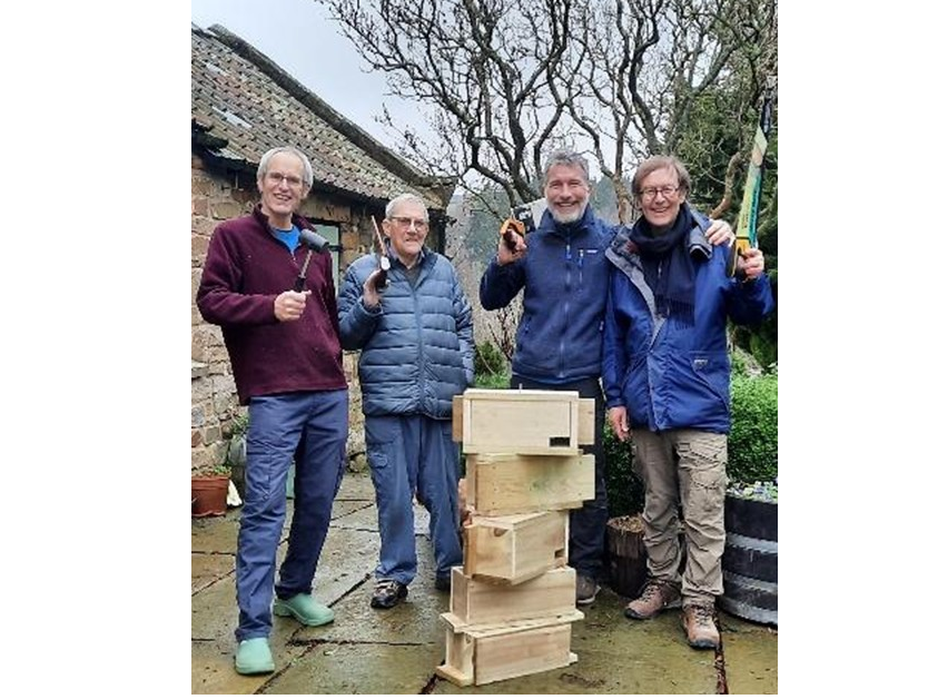 Swift box construction session