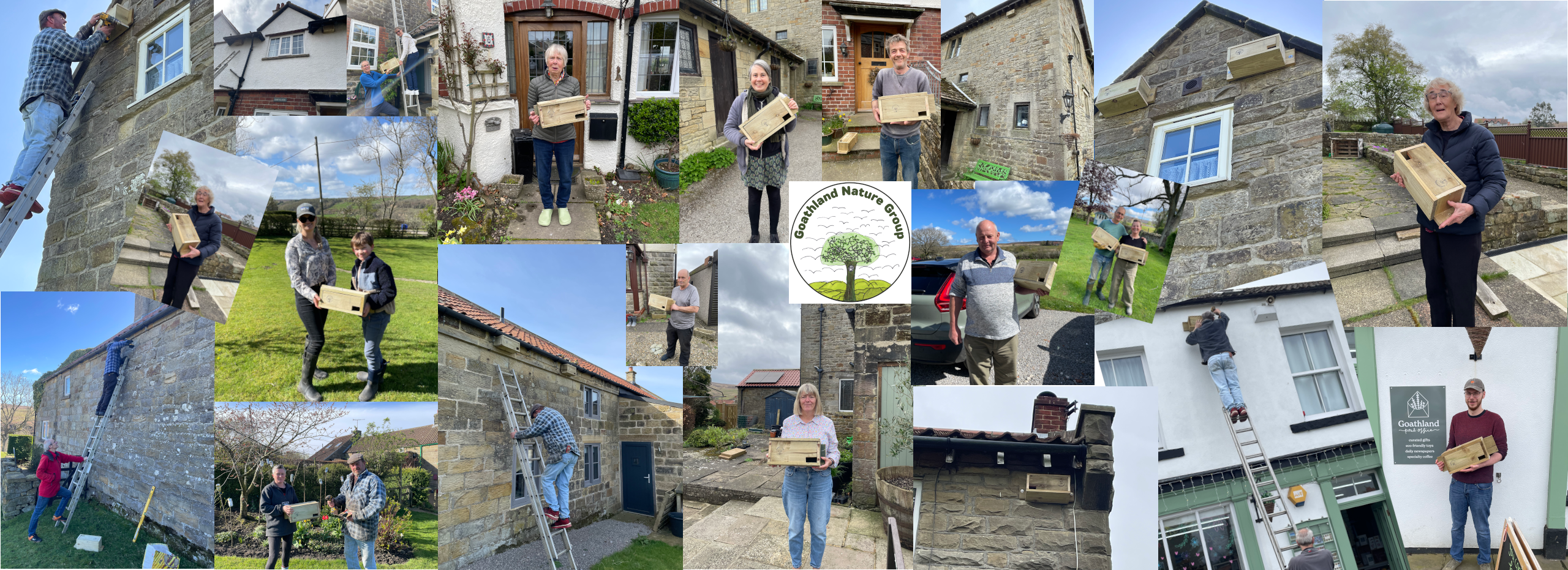 Goathland Nature - Swifts project