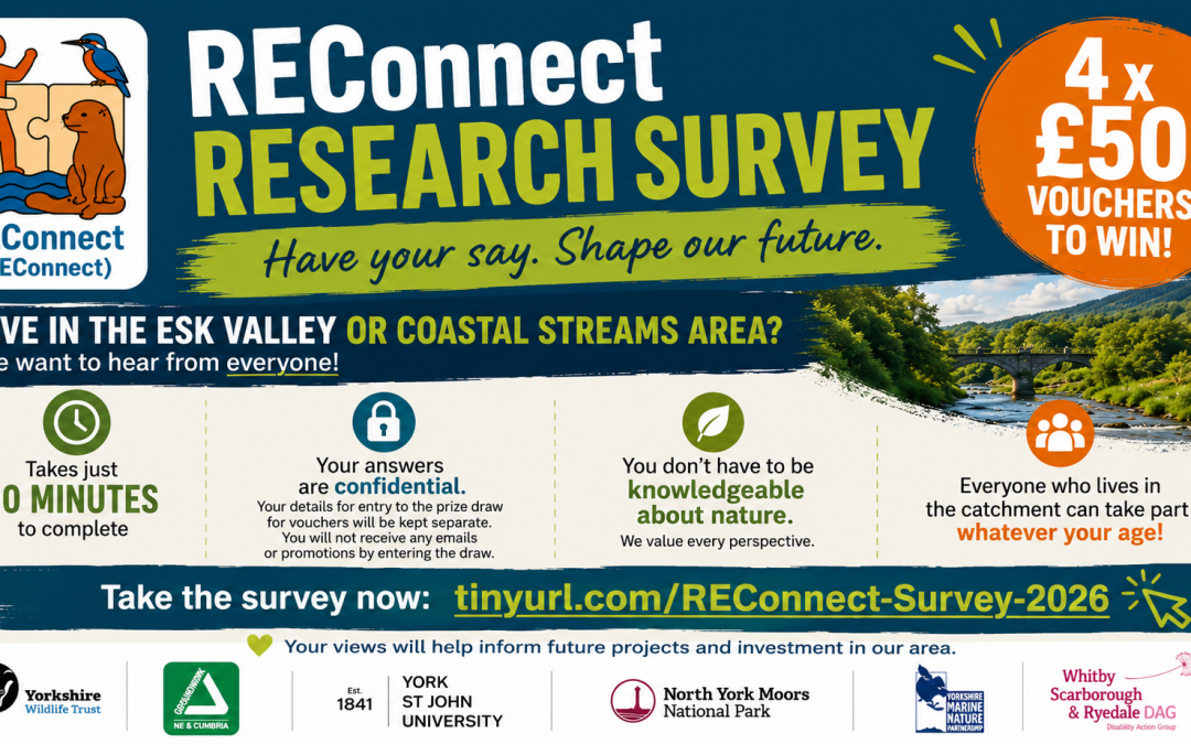 The REConnect Team want to hear your views!