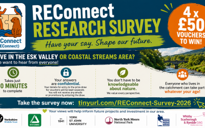 The REConnect Team want to hear your views!