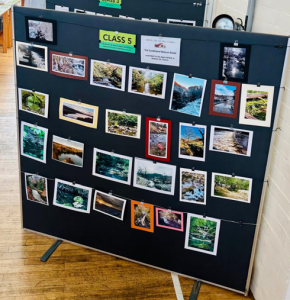 Goathland Village Show, Nature Group Shield entries