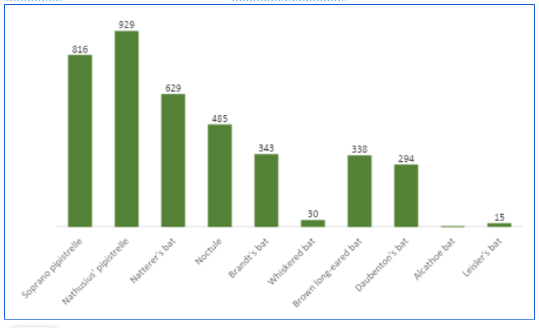 Goathland bat survey results mid-2026