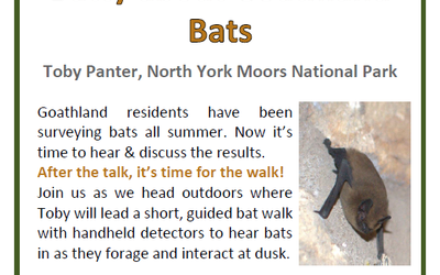 Batty About Goathland Bats with Toby Panter, 1 October