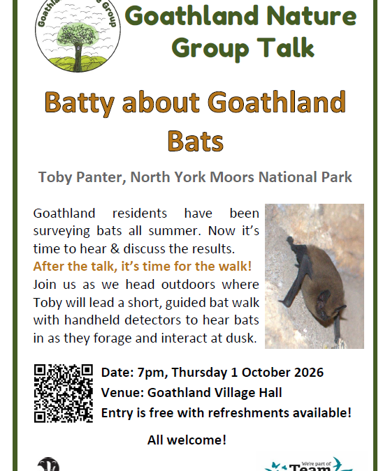 Batty About Goathland Bats, Autumn talk, October 2026