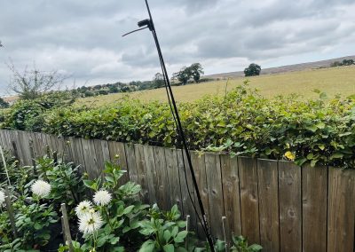 Bat detector in a Goathland garden
